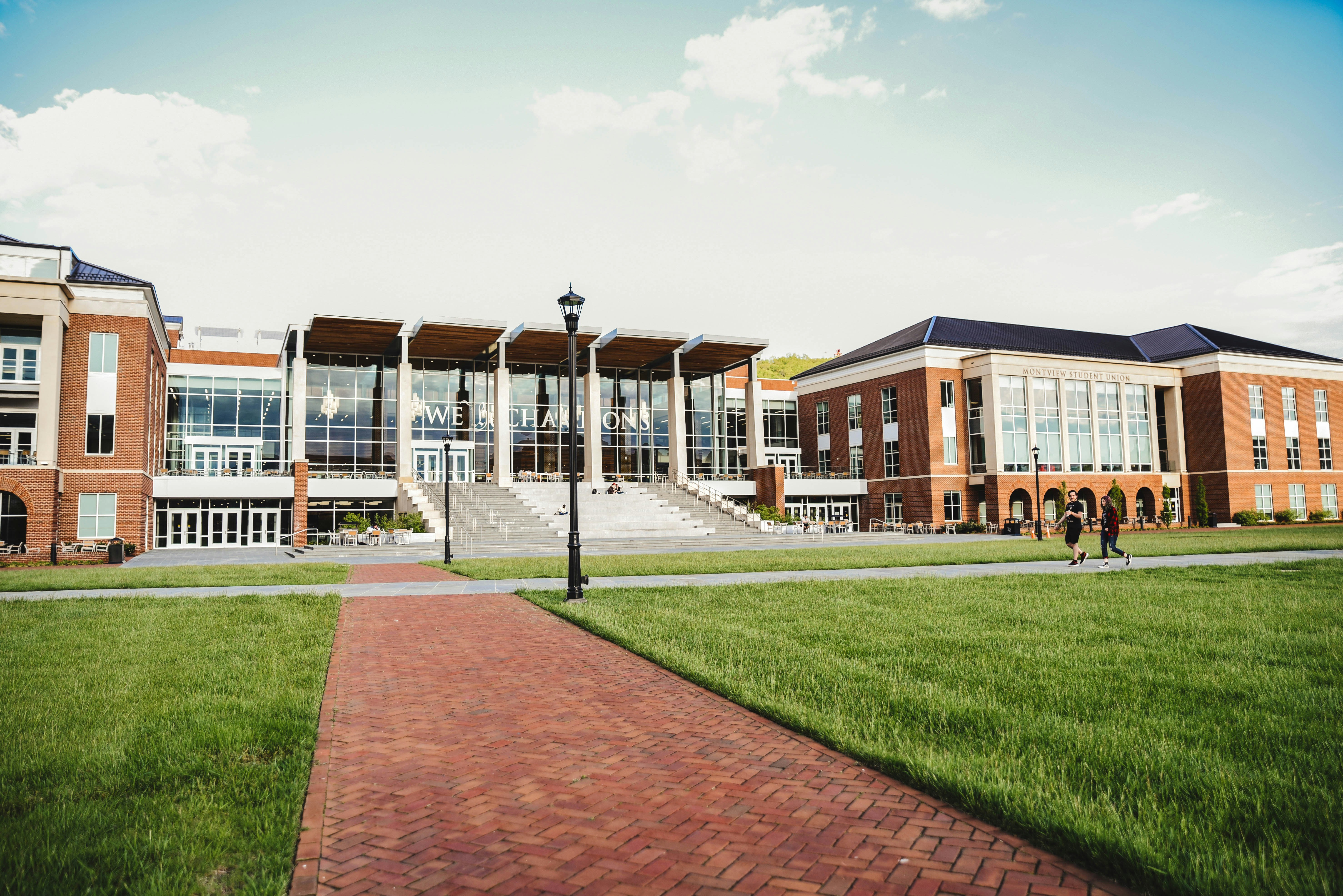 Honey Tree & Branches Academy gallery image